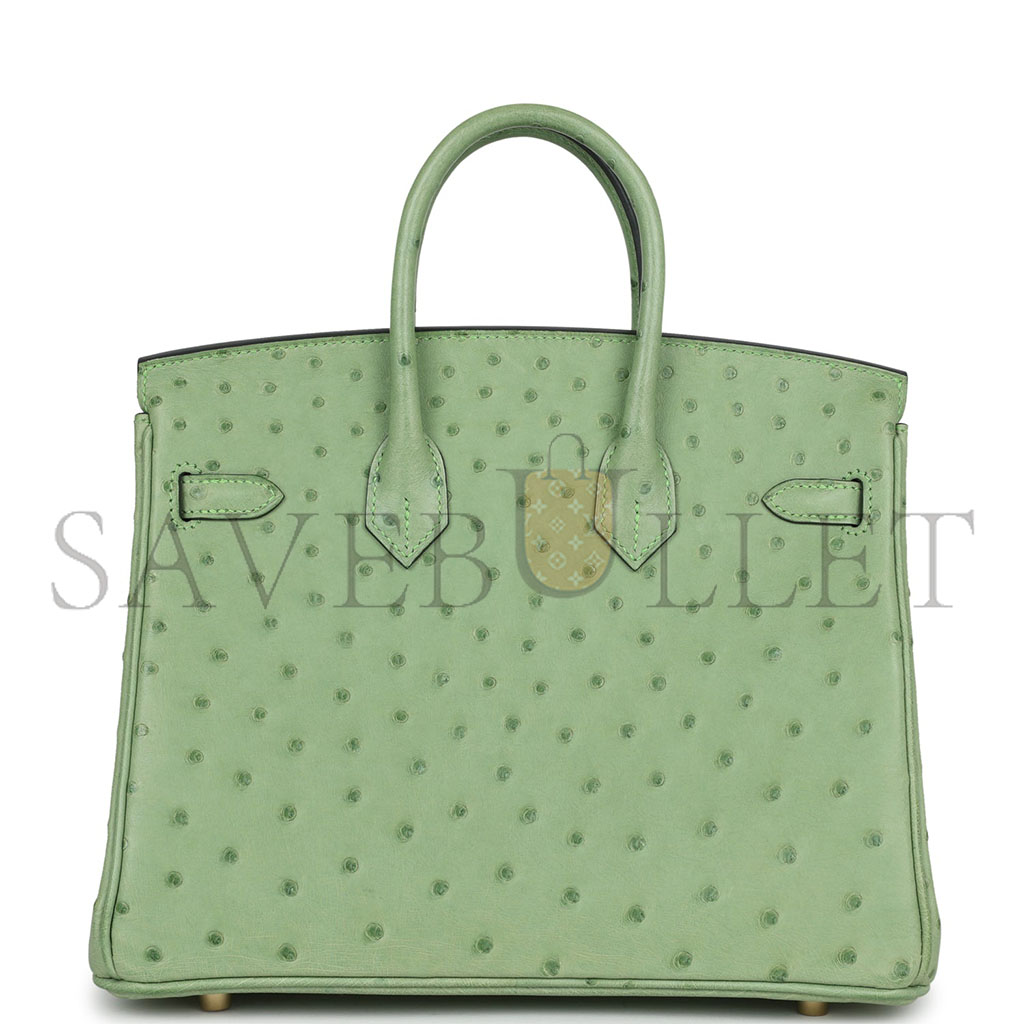 H**mes master birkin 30 decorated ostrich women