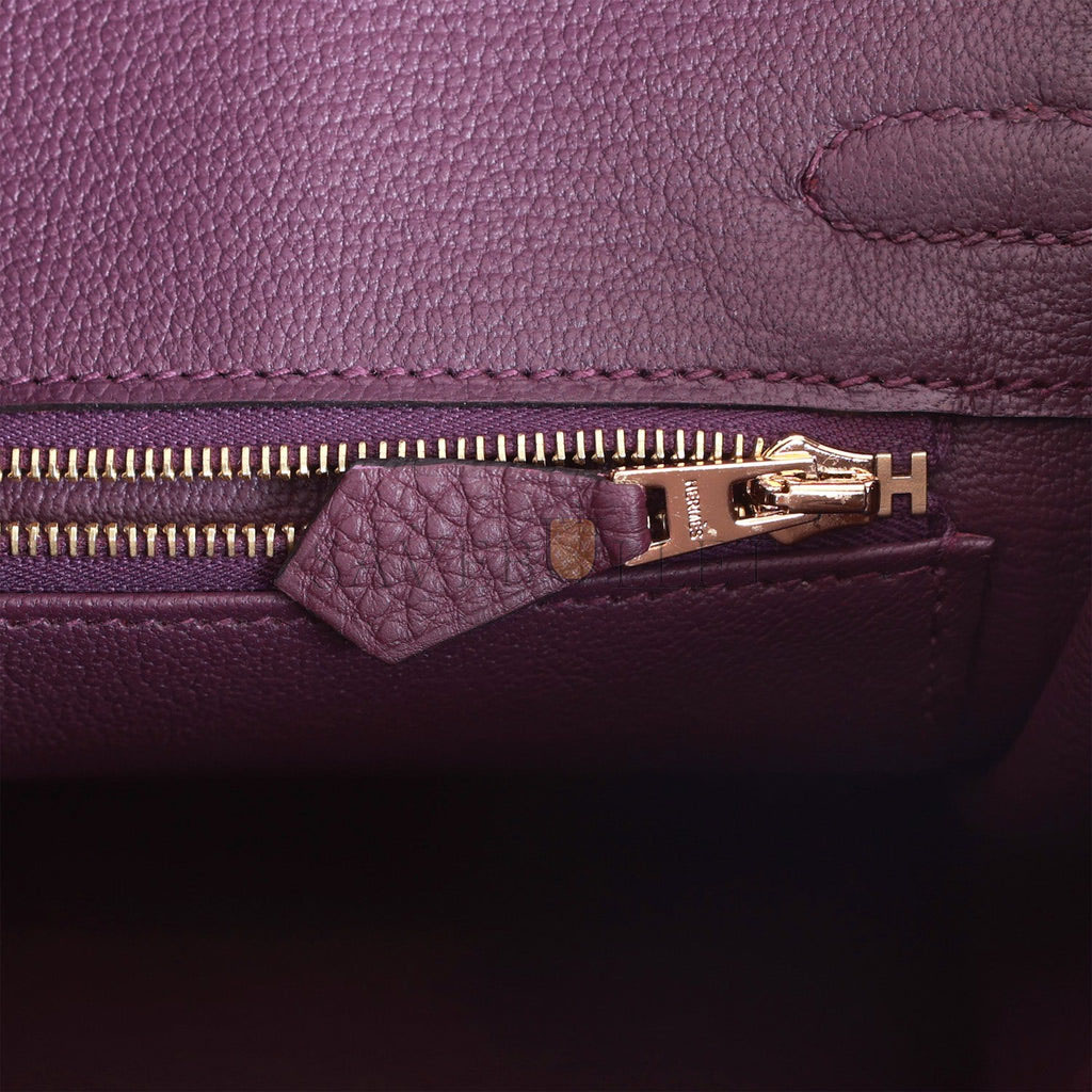 H**mes birkin 25 cassis togo gold hardware  (25cm)