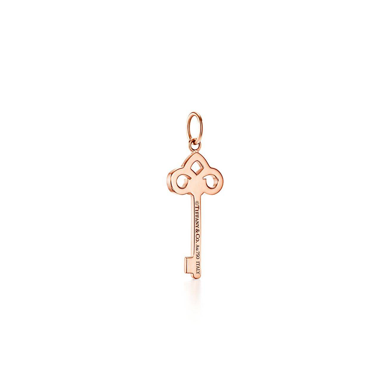 T*f*ny keys fleur de lis key